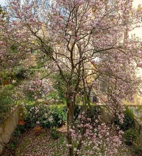 Casa Angelina Florencie